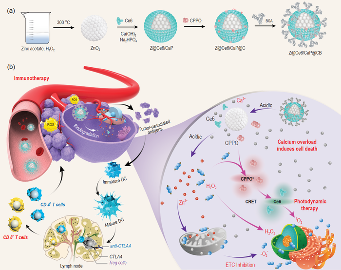 Introduction of Nanobomb into Tumor Could Inhibit Growth of Primary Tumors.
