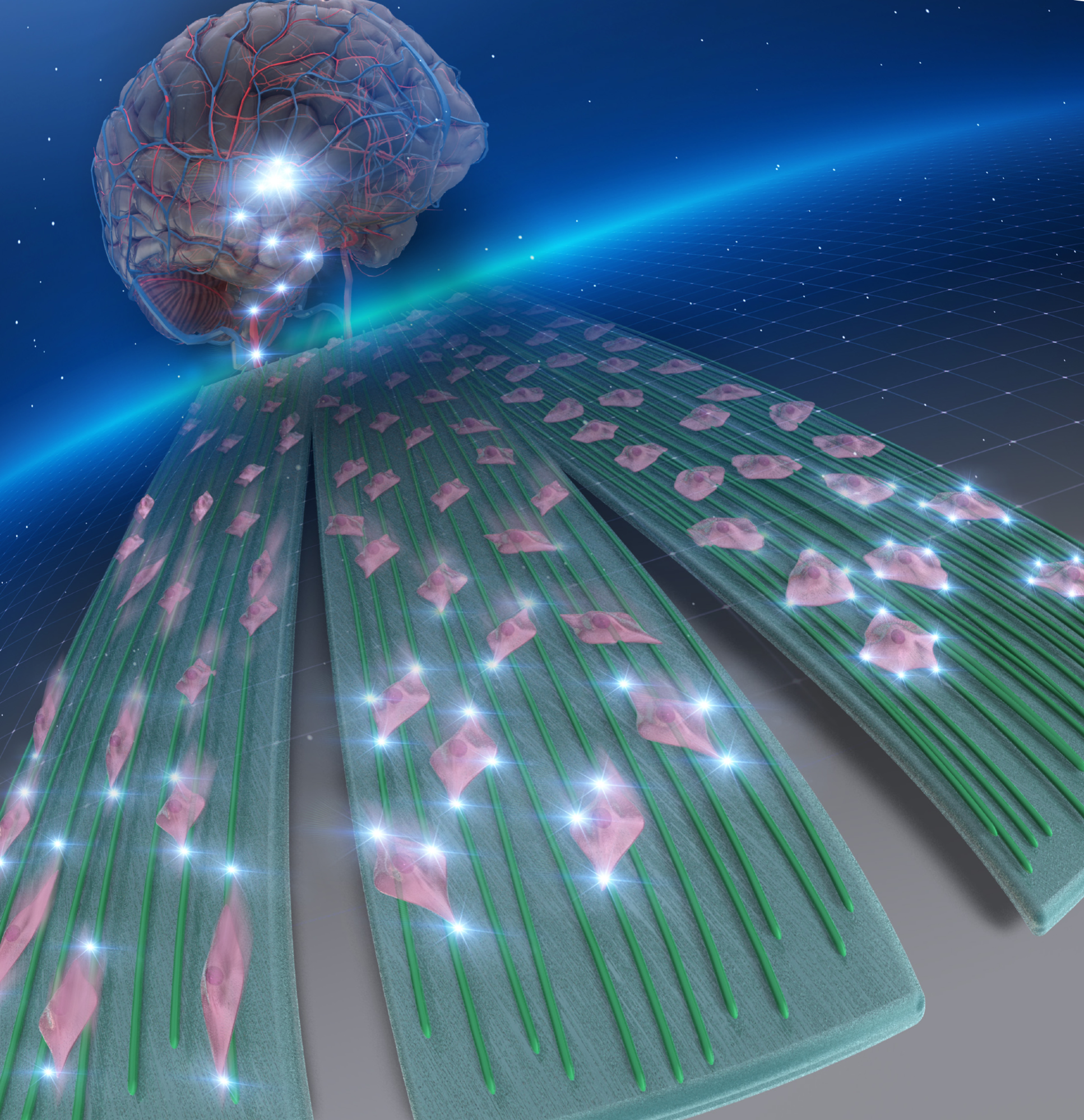 High-Density Nanofibers Set the Stage for Novel Therapeutic Solutions for Brain Cancer.