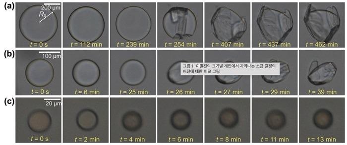 New Nanoscale Self-Assembling Salt-Crystal Origami Method Spontaneously Envelops Liquid Droplets
