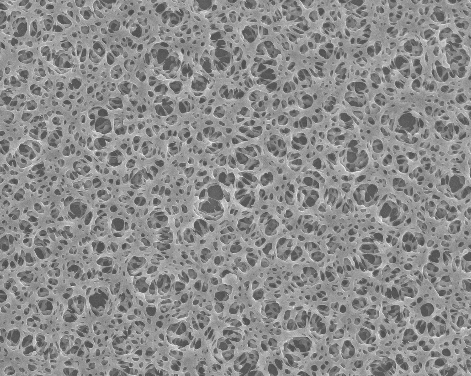 Study Analyzes Nanoporous Polymer Materials for Hydrogen Storage.