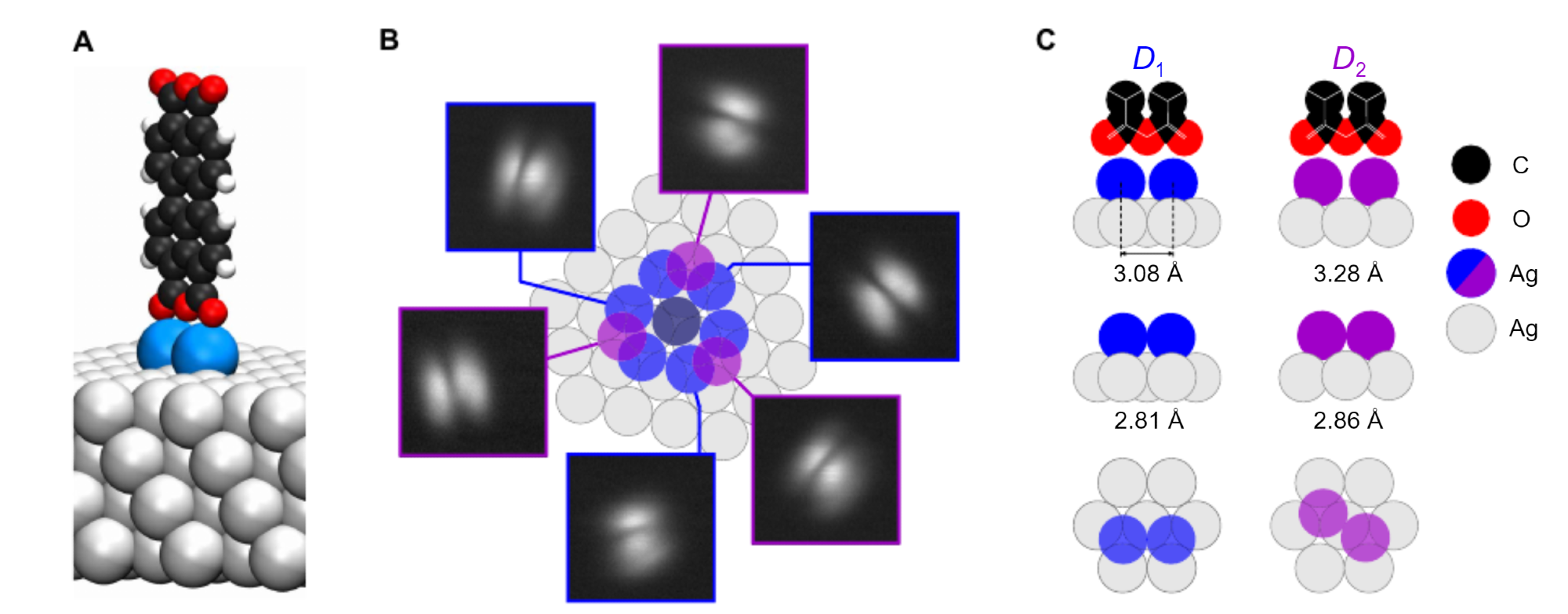 Bringing the Vision of Molecular-Scale Fabrication Closer to Reality.