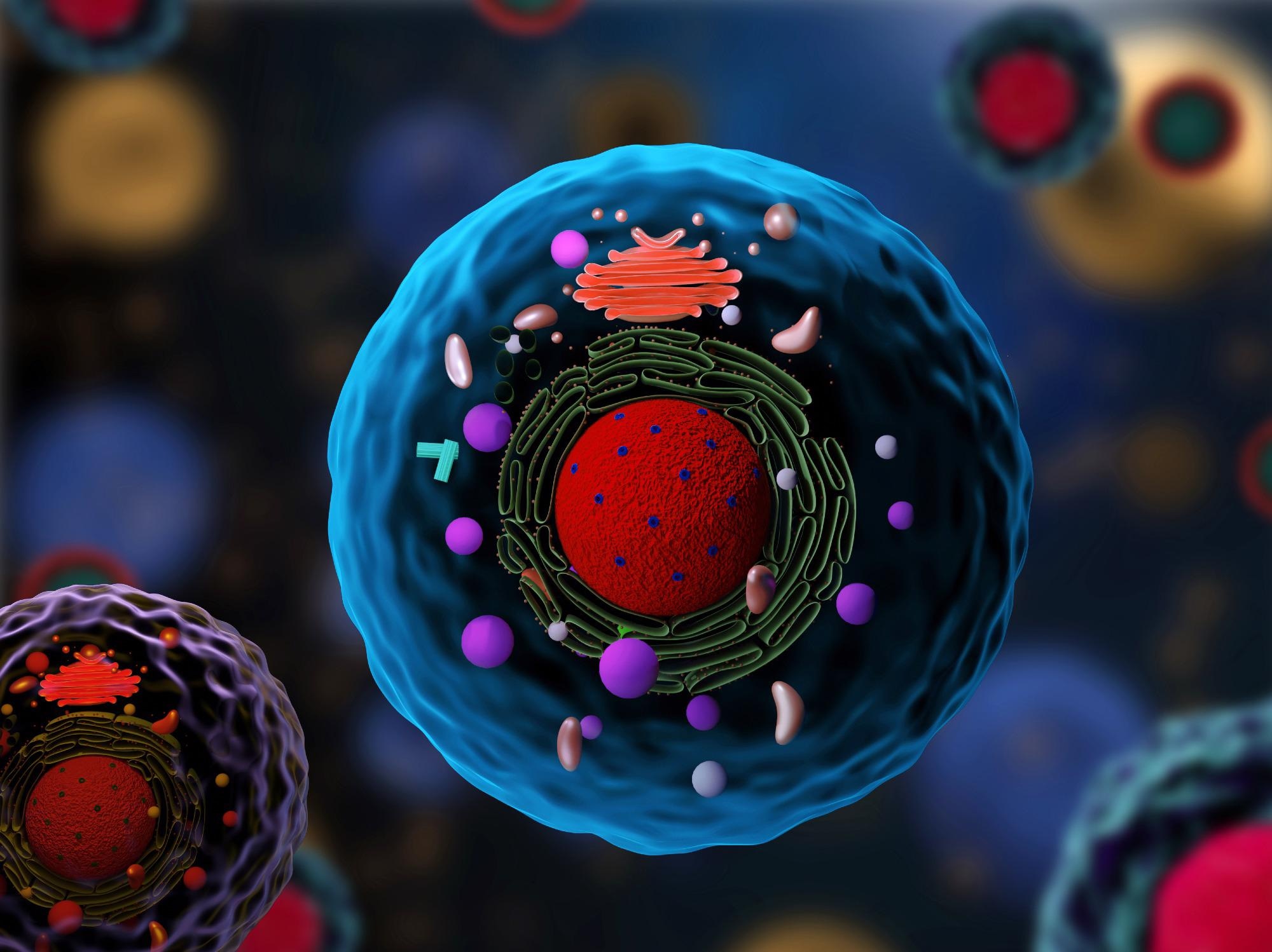 Novel Imaging Technique Takes High Resolution 3D Images of Cells.
