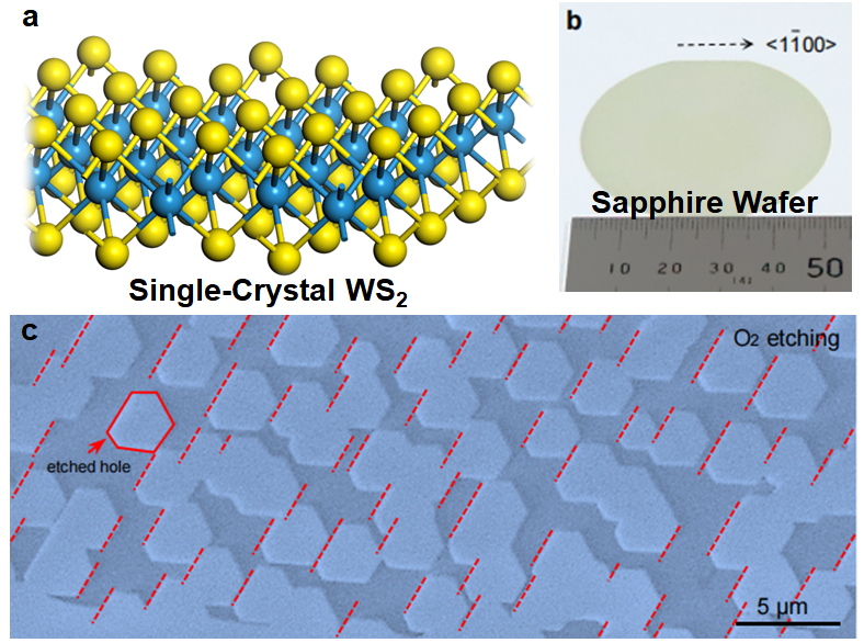New Method Could Help Switch Silicon with 2D Materials in Semiconducting Technology.