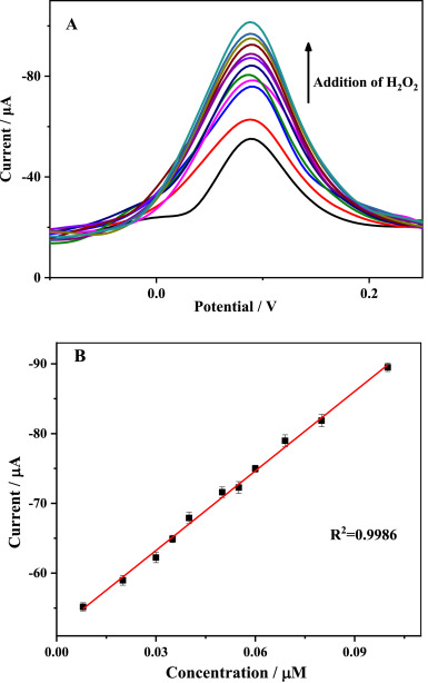 (A) DPV response obtained at the Au–CeO2/GCE with continuous addition of H2O2 in 0.1 M PBS (pH = 7.0). (B) Calibration plot for H2O2 determination.