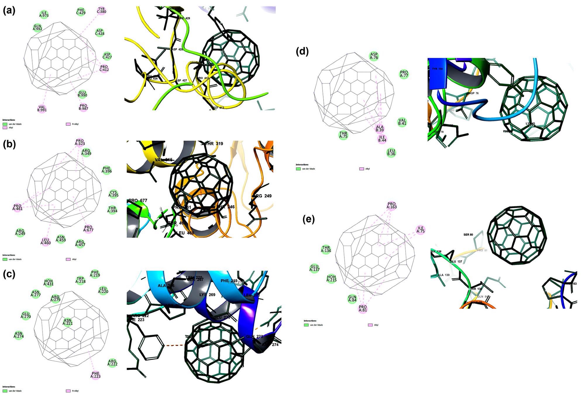 The binding potential of carbon nanofullerene towards the prioritized targets of SARS-CoV-2 is predicted by molecular docking. The binding affinity and interactions of carbon nano fullerene towards (a) spike glycoprotein (-13.7 kcal/mol), (b) RNA dependent RNA polymerase (-12.9 kcal/mol), (c) main protease (-11.4 kcal/mol), (d) papain-like protease (-10.6 kcal/mol) and (d) RNA binding domain of nucleocapsid protein (-10.1 kcal/mol).