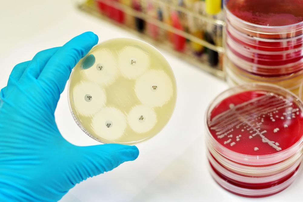 bacteria, food poisoning