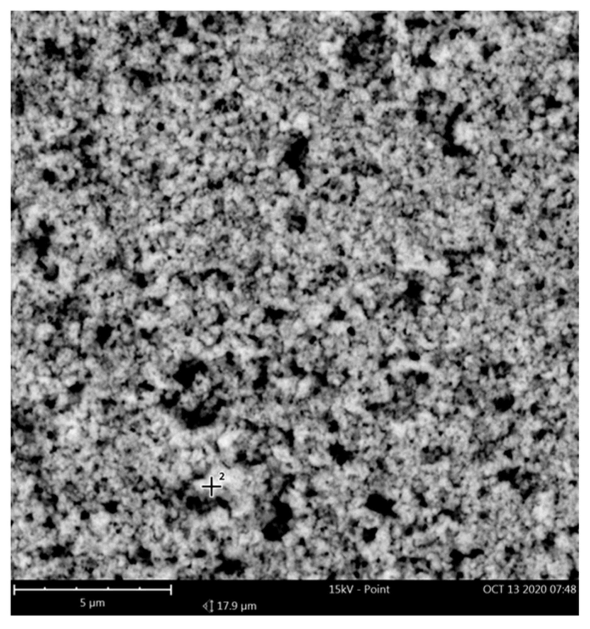 Scanning Electron Microscopy (SEM) image representing the particle distribution of cerium oxide nanoparticles.