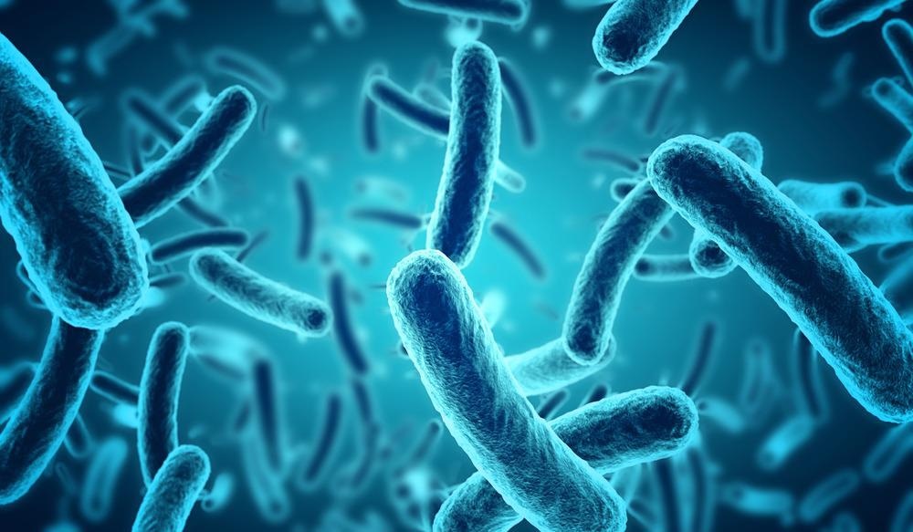 bacteria, antibiotic