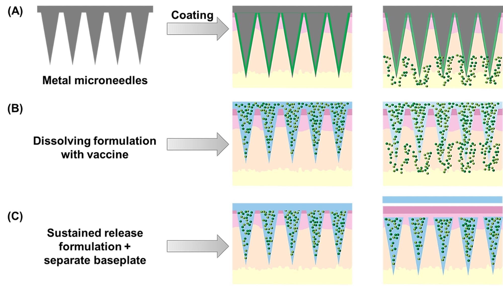 Schematic representation of the three main types of microneedle arrays developed for vaccine delivery. Coated microneedle arrays (A) are prepared using a solid array base, usually metallic, which is coated with a dissolving formulation containing the antigen(s) and adjuvant(s). Alternatively, dissolving formulations (B) can be used to manufacture the entire array, leading to vaccine delivery upon skin insertion of these self-disposable devices. Finally, sustained-release formulations (C) have been used to produce implantable microneedle tips that are left in the skin after insertion, upon removal of a separate baseplate.