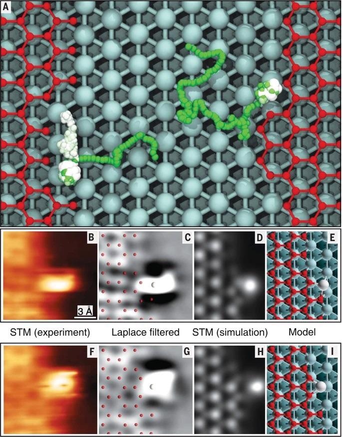 Nickel adatoms at the graphene edges.