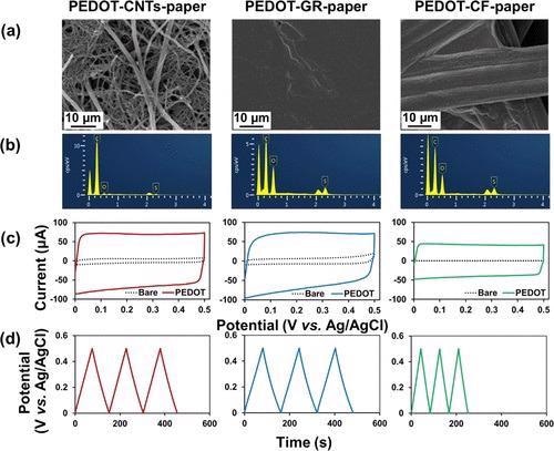 (a) SEM images and (b) EDX spectra of PEDOT-CNTs-paper, PEDOT-GR-paper, and PEDOT-CF-paper. (c) Cyclic voltammograms of CNTs-paper, GR-paper, and CF-paper in 0.1 M KCl solution before and after modification of PEDOT at a scan rate of 0.05 V s–1. (d) Galvanostatic charge–discharge curves of PEDOT-CNTs-paper, PEDOT-GR-paper, and PEDOT-CF-paper in 0.1 M KCl solution.