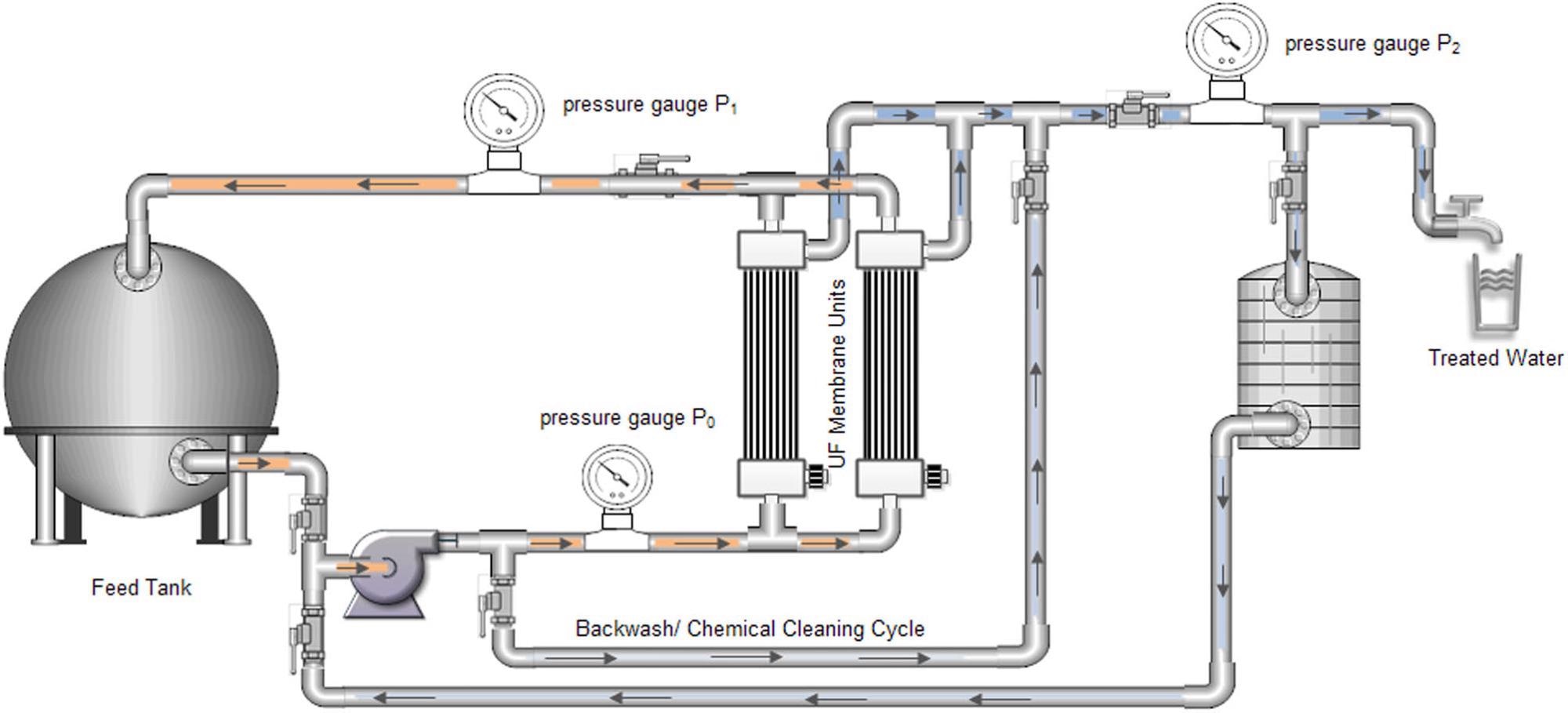 The use of ultrafiltration membrane system for virus removal from domestic water.