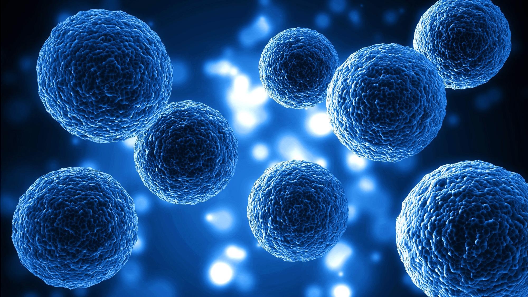New Process to Form Vesicles that can Carry Vaccine Nanoparticles into Human Cells