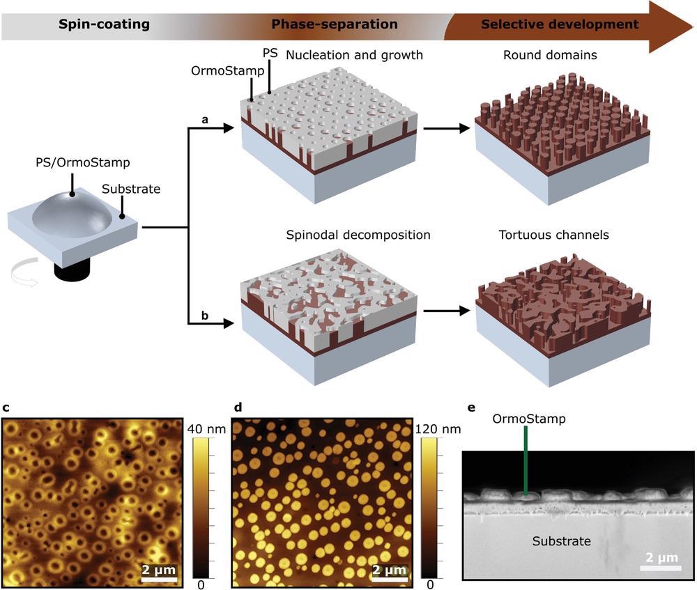 PS/OrmoStamp blend enables the direct patterning of OrmoStamp material via SA. A schematic illustration of the formation of spin-casted PSN via a) nucleation and growth, and b) spinodal decomposition mechanism at room temperature. Afterward, the PS matrix is selectively etched using O2 plasma treatment. AFM images of the PSN c) before and d) after O2 plasma treatment of a sample prepared using PS/OrmoStamp with a 3:1 ratio in the solvent toluene, with a concentration of 35 mg mL-1. A spin-casting speed of 1500 rpm is used for producing the PSN. The Ormostamp nanopillar top surface is represented by a black color in (c) and with a bright color in (d). e) Cross-sectional SEM image of the Ormostamp nanopillars in (d).