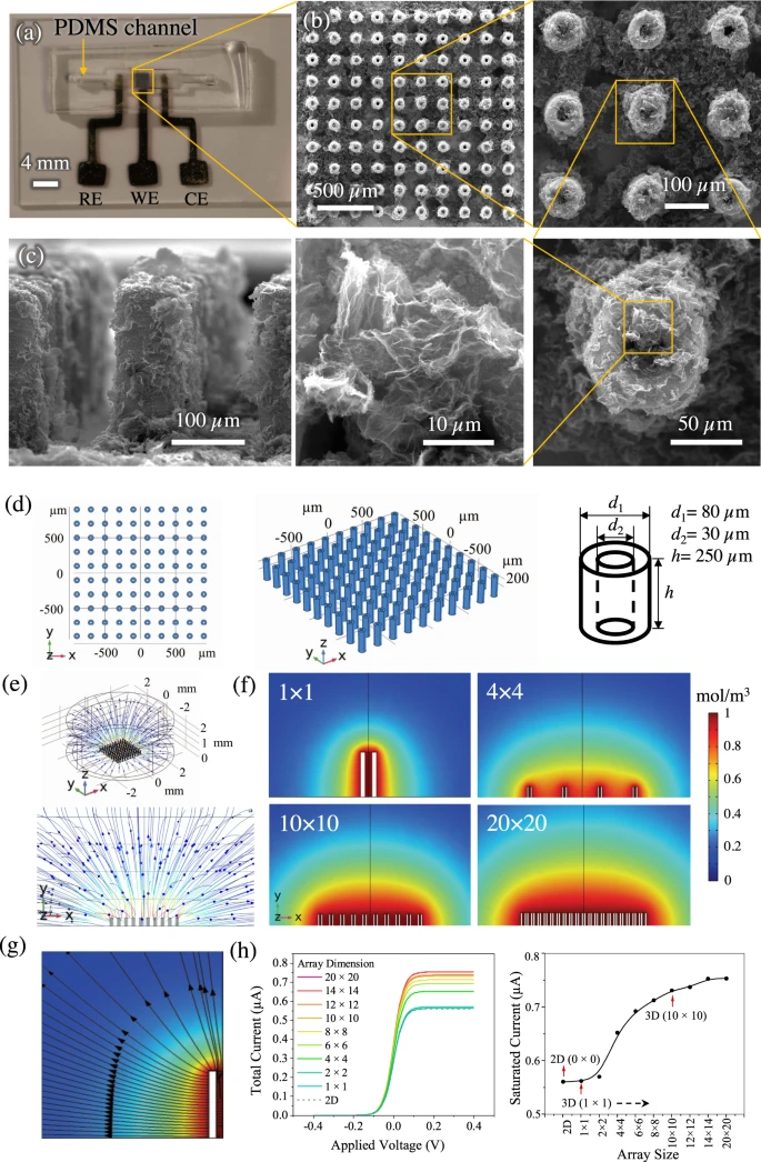The nano-to-meso multi-length-scale AJ printed biosensing platform.