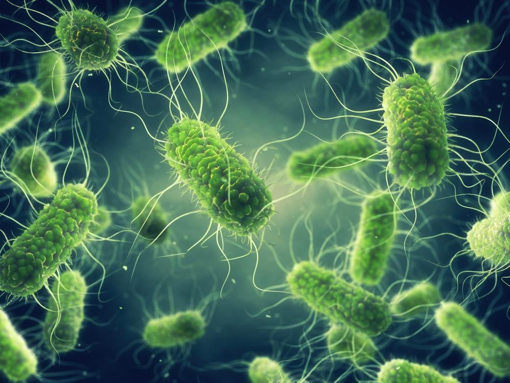 Gold Nanoclusters Exert Bactericidal Activity and Enhance Phagocytosis of Macrophage Mediated Killing of Fusobacterium nucleatum
