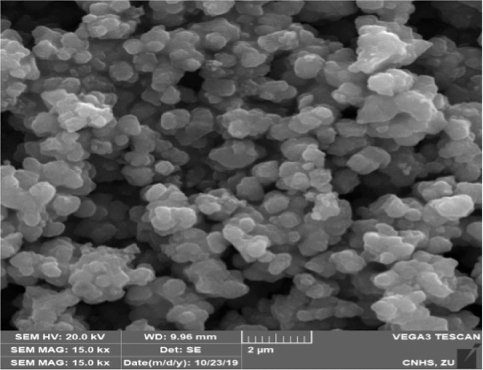 Cross-sectional SEM image of the synthesized TiO2 NPs calcined at 600 °C and 15?000× magnification.