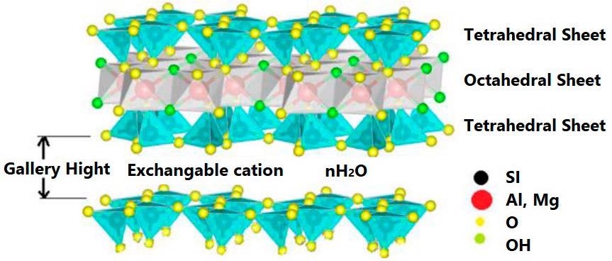 Structure of 2:1 layered silicate.