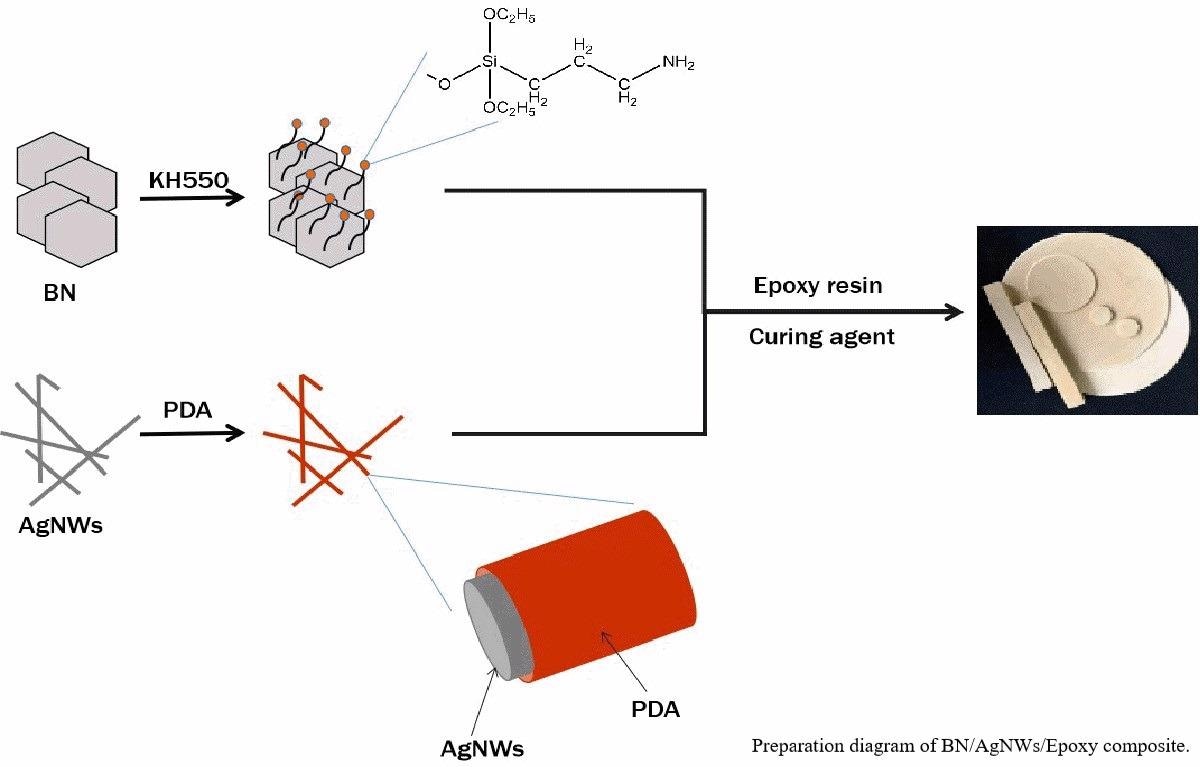Preparation of BN/AgNWs/Epoxy composite.