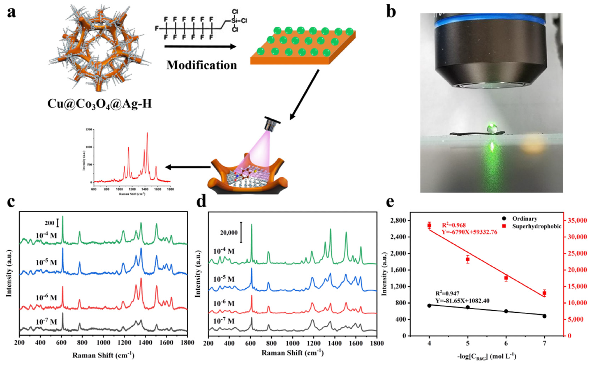 (a) Schematic illustration of the fabrication process toward Cu@Co3O4@Ag-F SERS sensor. (b) Image of superhydrophobic property of the Cu@Co3O4@Ag-F substrate. (c,d) Raman spectra of R6G from 10-4 M to 10-7 M on Cu@Co3O4@Ag-H substrate (c) and Cu@Co3O4@Ag-F substrate (c). (e) Relationship between the intensity of the SERS peak at 612 cm-1 and the R6G concentration; the error bar is based on four parallel SERS spectra.