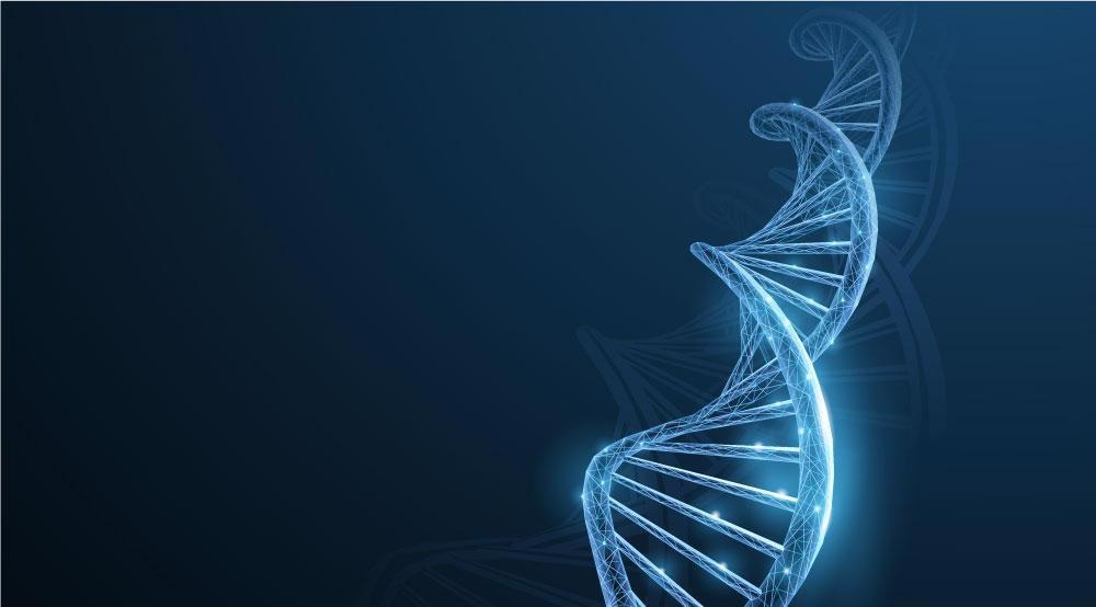 DNA-FAIRYLIGHTS Project Lifts Digital Data Storage to a New Level