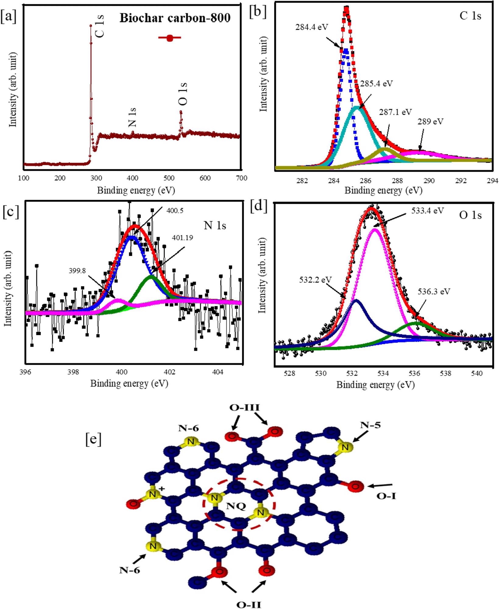 [A] XPS survey scan spectra of the biochar-800 and high-resolution scan of [B-D] C 1s, N 1s, and O 1s [E] Schematic representation of different N and O functionalities.
