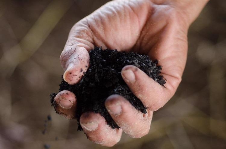 Biochar Revealed as Cheap Material for Energy Storage Devices