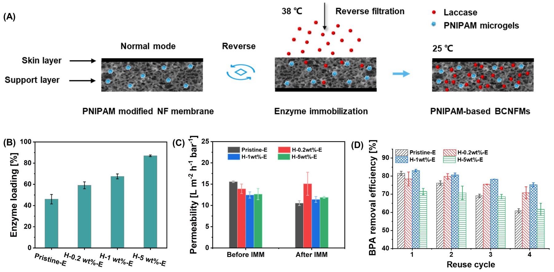 Performance of PNIPAM-based BNMs.