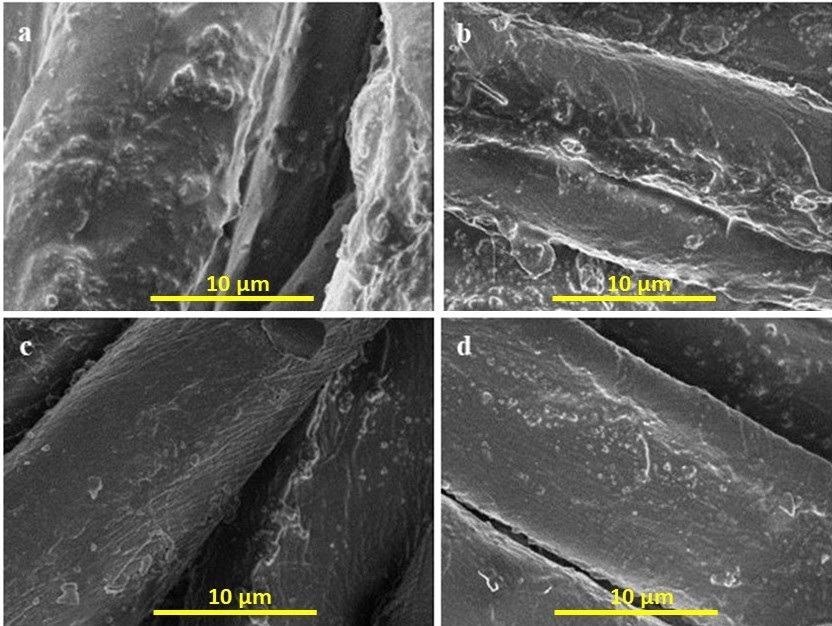 SEM images of coated cotton fabrics (a) unwashed sample (b) after 5 washing cycles. (c) after 10 washing cycles (d) after 20 washing cycles.