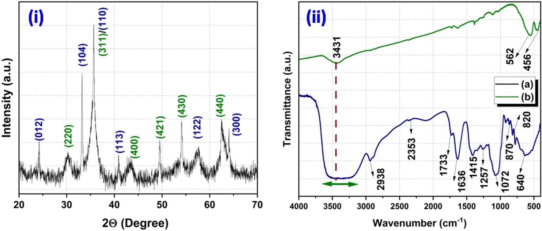 XRD pattern of synthesized product (i) and FT-IR spectra of waste pulp extract of Syzygium cumini (a) and Fe3O4/a-F2O3 nanocomposite (b) (ii).