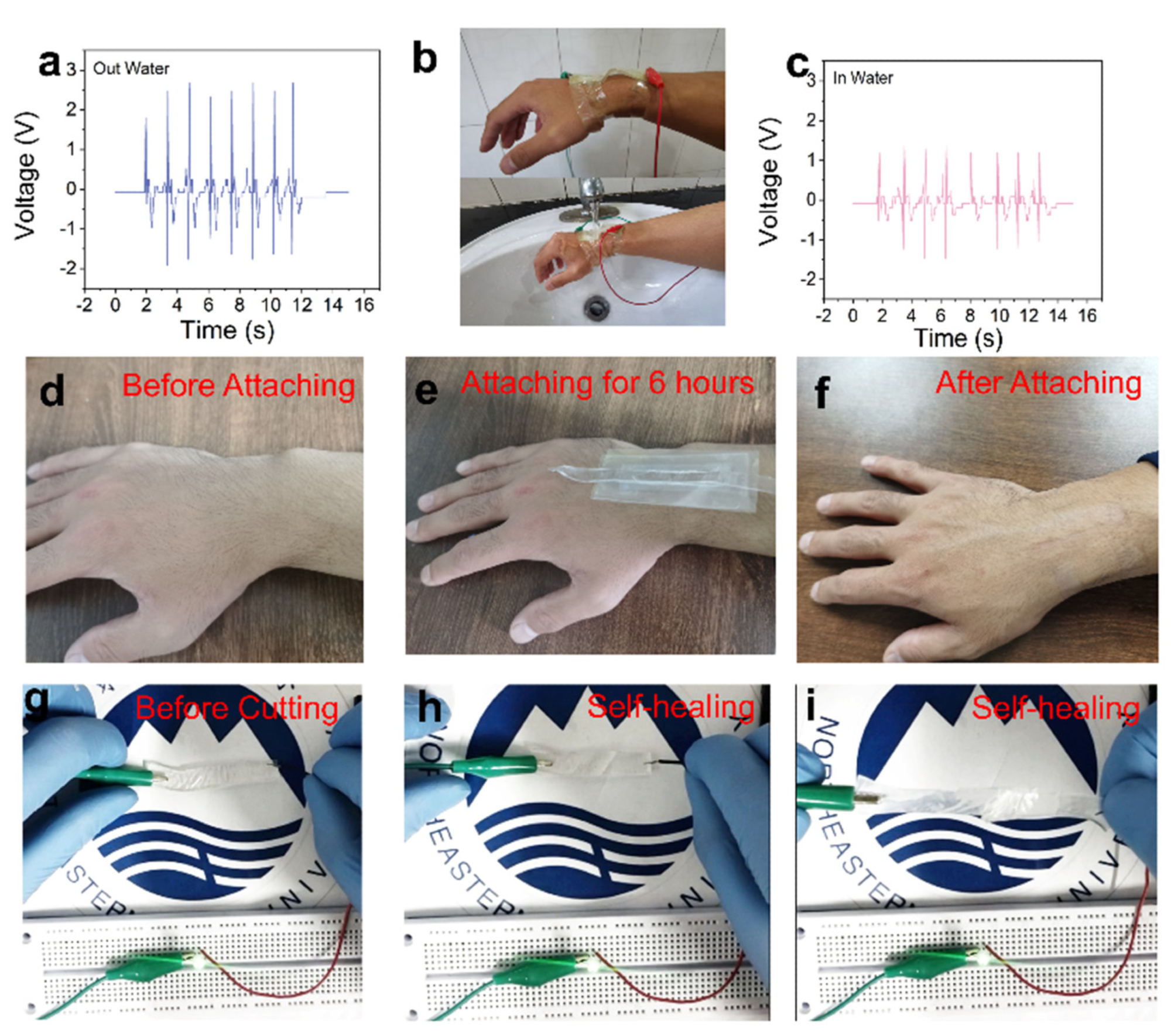 Scenes of waterproof, biocompatibility, and self-healing. (a–c) Test of waterproof ability. (d–f) Test of biocompatibility. (g–i) Self-healing property of hydrogel.