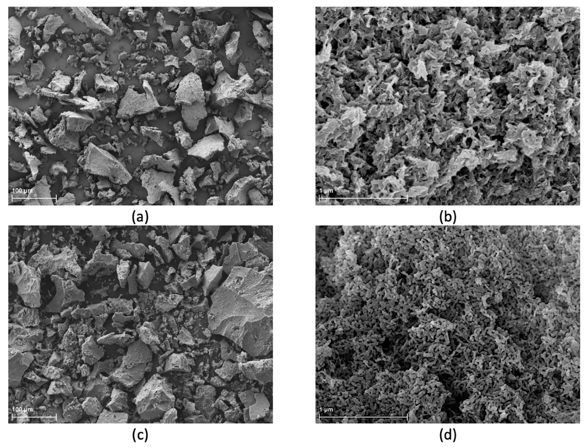 SEM micrographs of powder (a,b) raw HAP NPs, (c,d) heated HAP NPs.