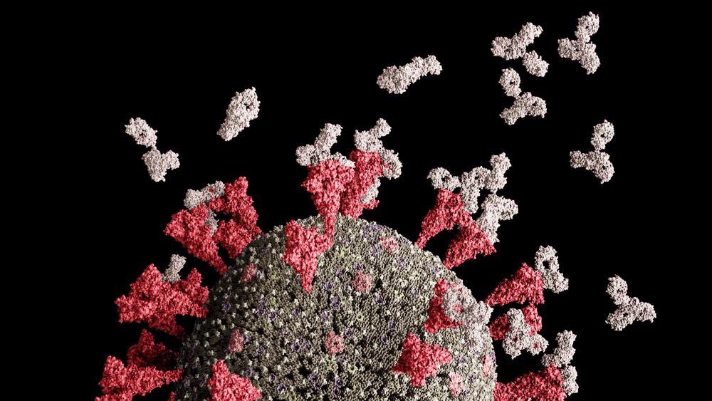 Nanosheet Biosensor Detects COVID-19 Spike Protein in 2 Hours