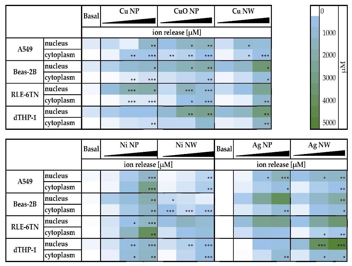 Intracellular distribution in cytoplasm and nucleus of A549, Beas-2B, RLE-6TN and cells after incubation with three doses metal-based nanomaterials.