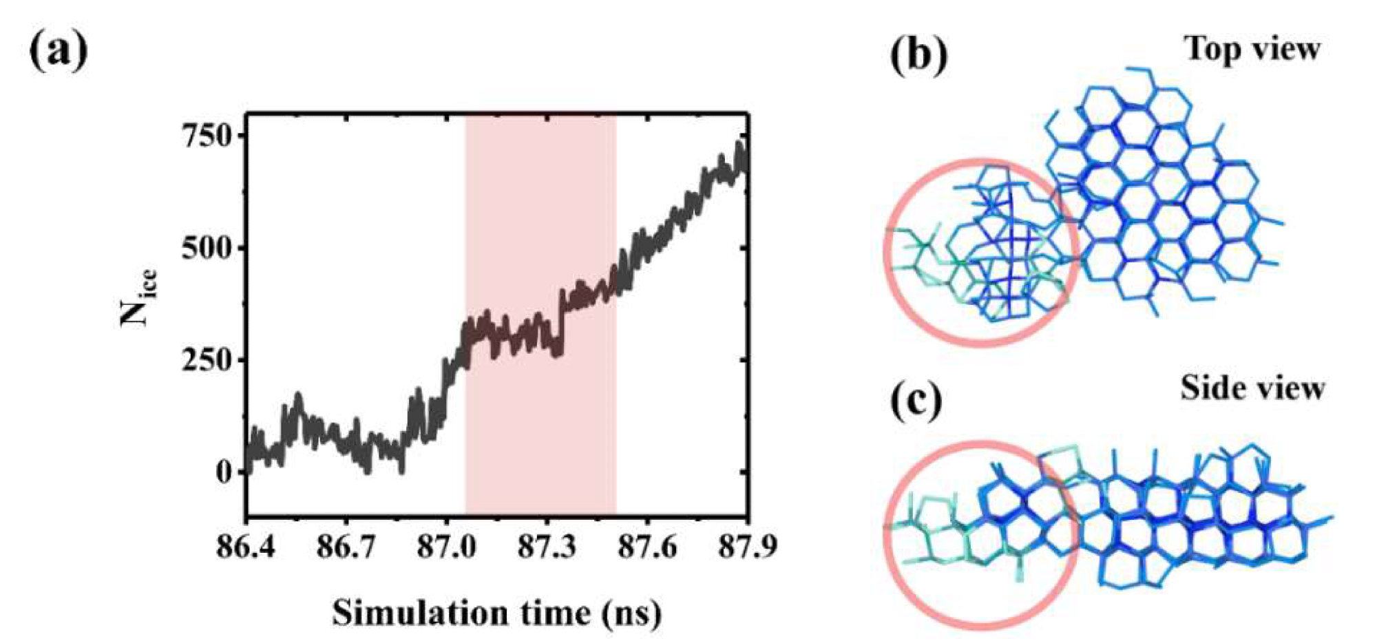 Stunting effect of a boundary misorientation during ice growth. (a) The inset shows the stunting period (shaded red) in the ice growth process caused by boundary misorientation between ice crystals. (b) Top view snapshots of boundary misorientation between ice crystals. (c) Side view of the boundary misorientation between ice crystals.