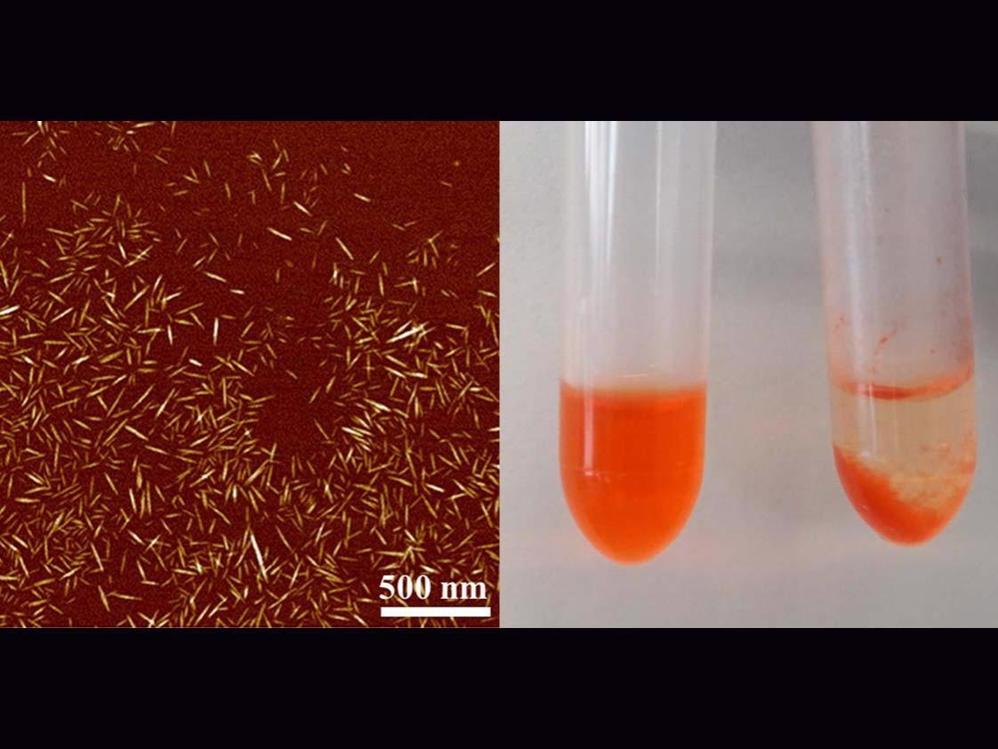 Novel Nanomaterial Captures Cancer Drugs Before They Interact with Healthy Tissue.