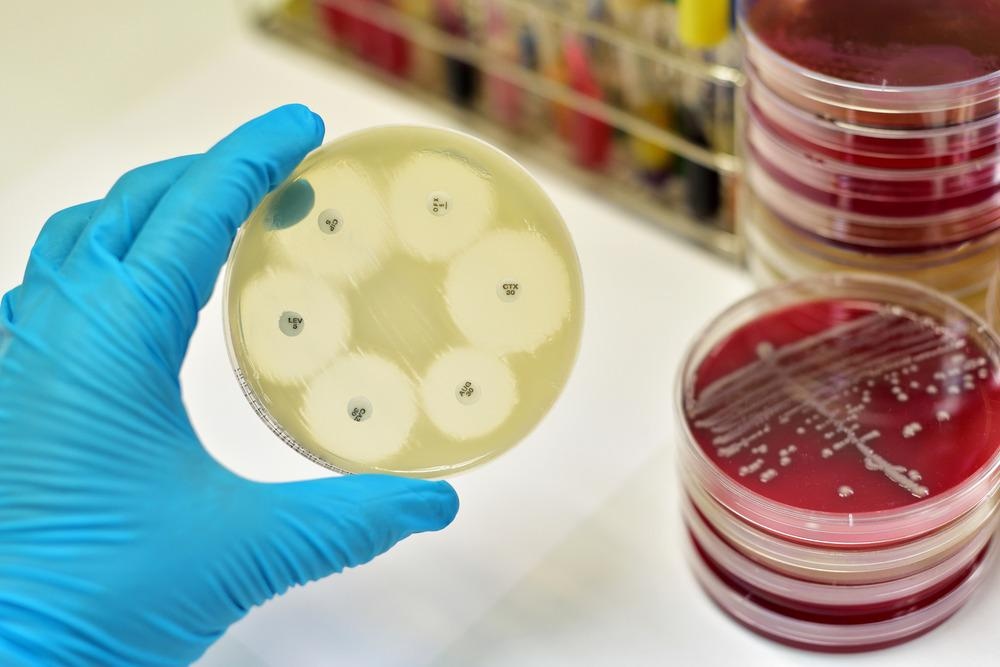 Green Biosynthesis of Nanoparticles Show Promising Biomedical Properties