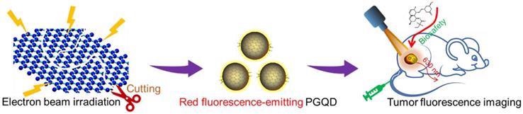 Schematic diagram of irradiation synthesis of graphene quantum dots for tumor fluorescence imaging.