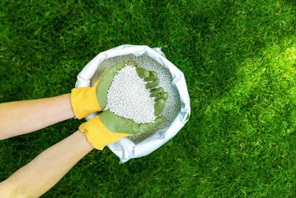 Novel Nanocomposite Shows Great Potential as Bio-Fertilizer