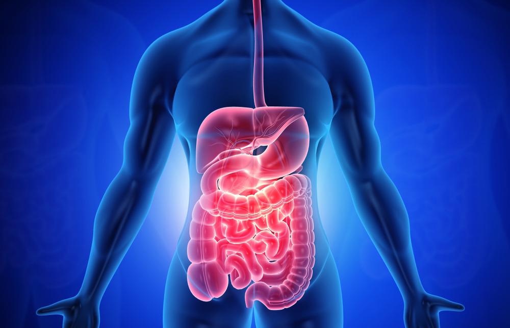 Targeting Gastrointestinal Disease with Nanorobots