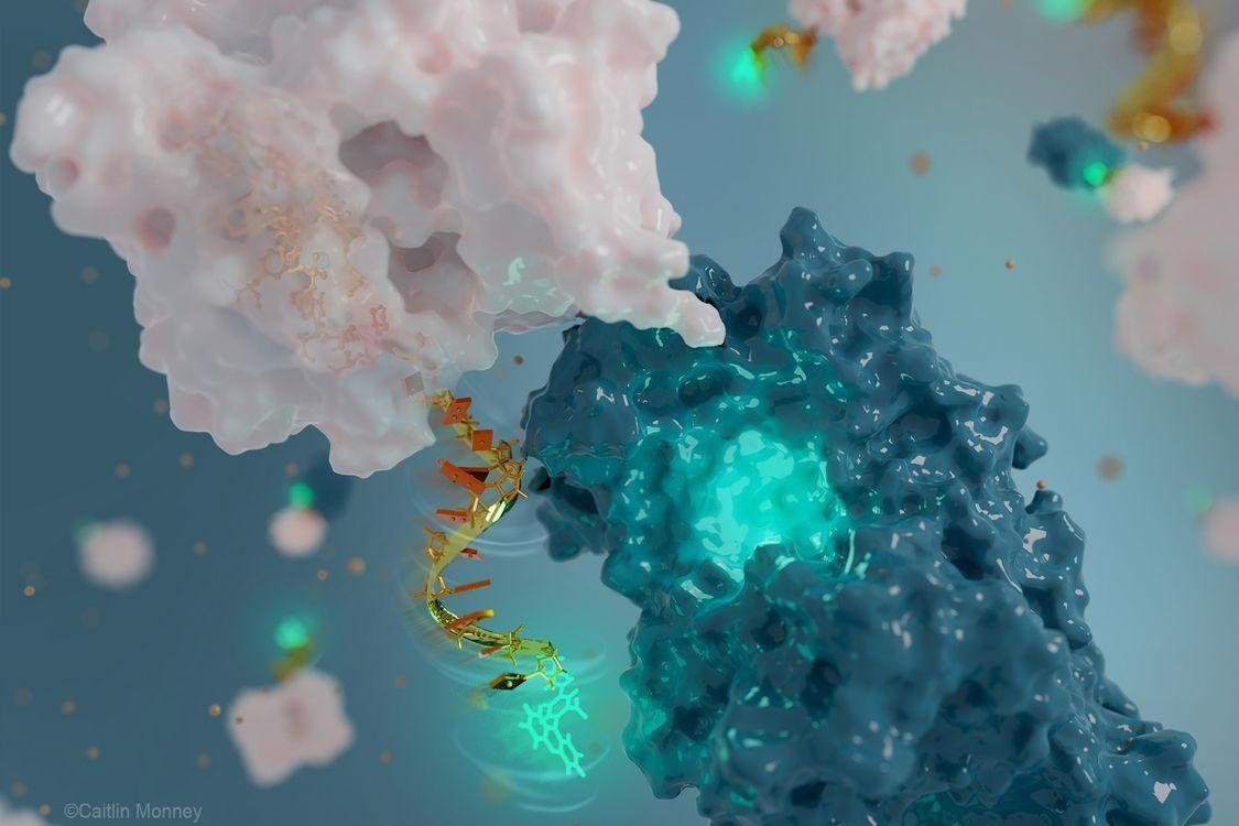 UdeM Build World’s Tiniest Antenna to Understand Natural and Manmade Nanotech.