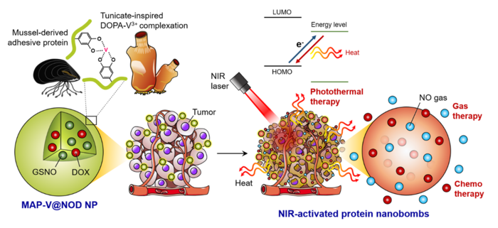 Researchers Create Nanobombs Capable of Attacking Only the Cancer Cells.