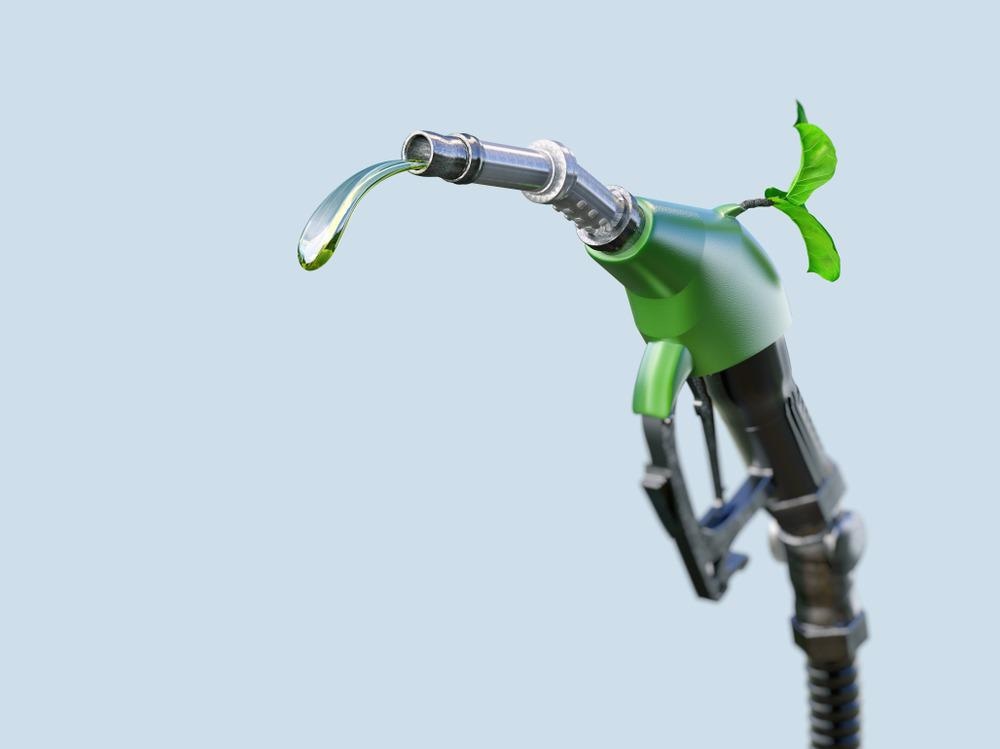 The Role of Nanomaterials in a Bioenergy Fueled Future