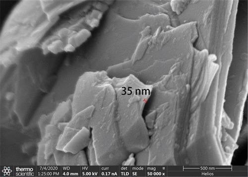 SEM morphology of GNPs.