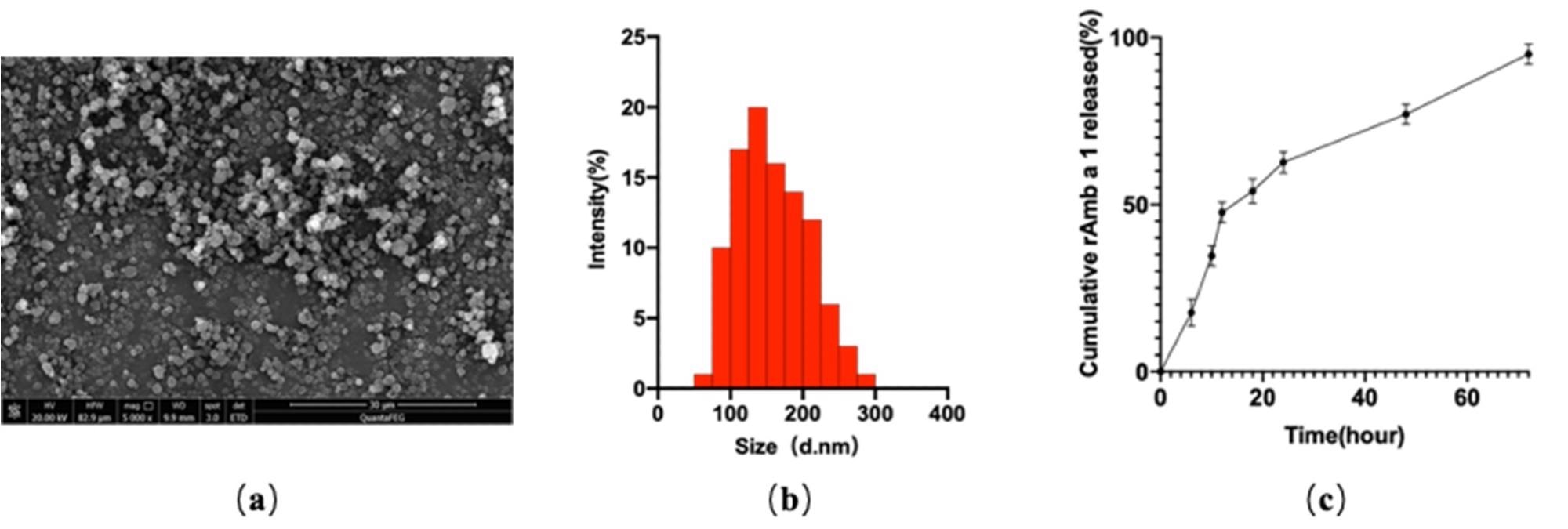 (a) Field emission scanning electron microscopic image; (b) dynamic light-scattering spectra; (c) in vitro cumulative protein release of rAmb a 1-loaded PLGA-PEG nanoparticles.