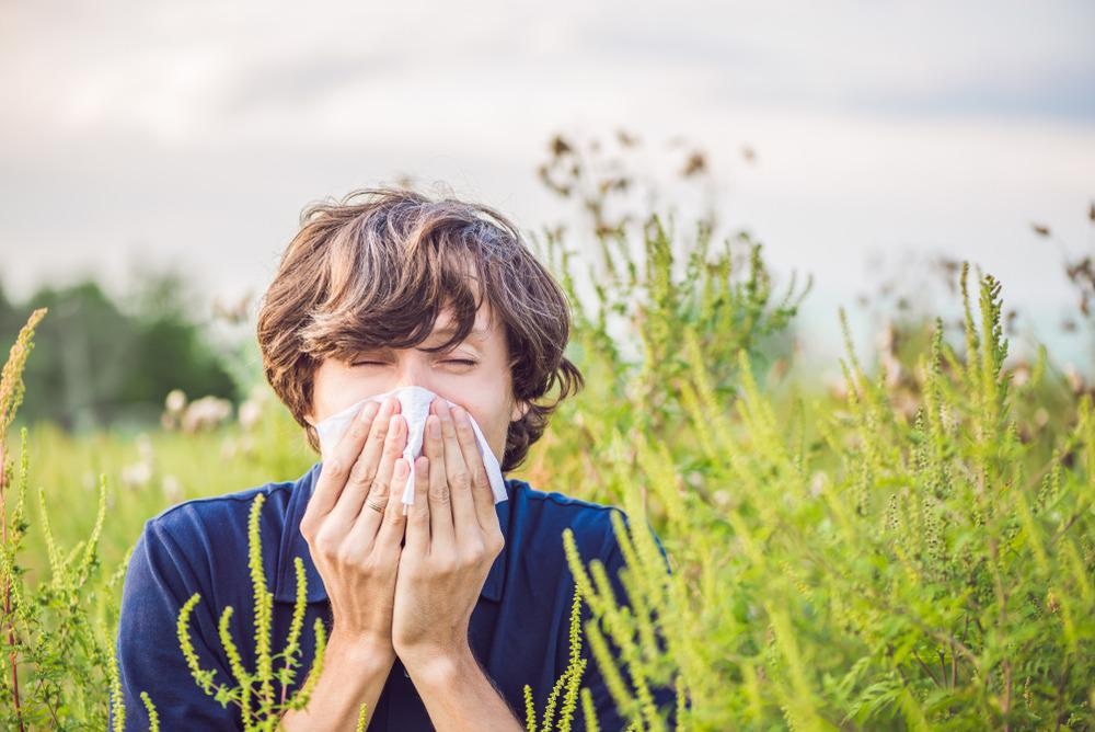 Nano-Based Treatment for Allergic Conjunctivitis Effective in Mice