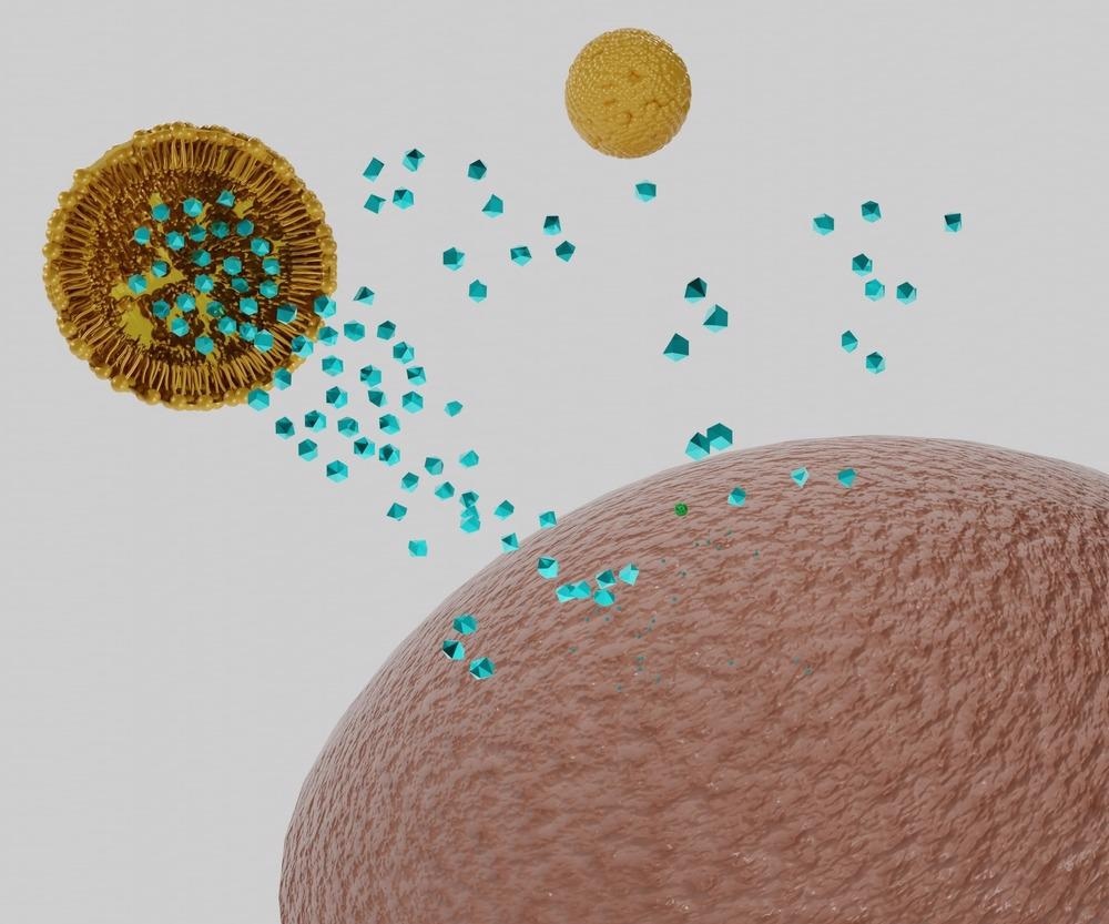 New Nanoparticle-Based Mucosal Drug Delivery System Proposed