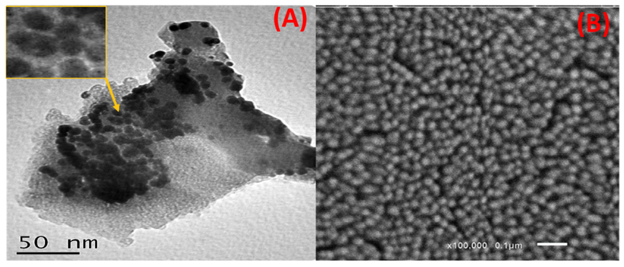 (A) HRTEM and (B) SEM images of the capped Ag NPs.