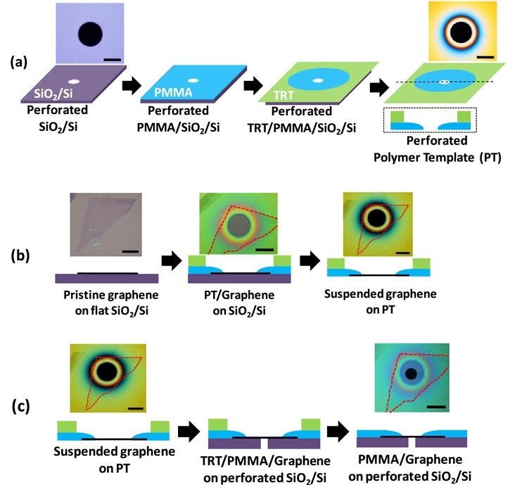 Schematic of the transfer method for the fabrication of suspended graphene using perforated templates. (a) Preparation of the perforated polymer template (PT). (b) Transfer of graphene on the PT. (c) Transfer of graphene on the perforated SiO2/Si substrate. (scale bar is 20 µm).