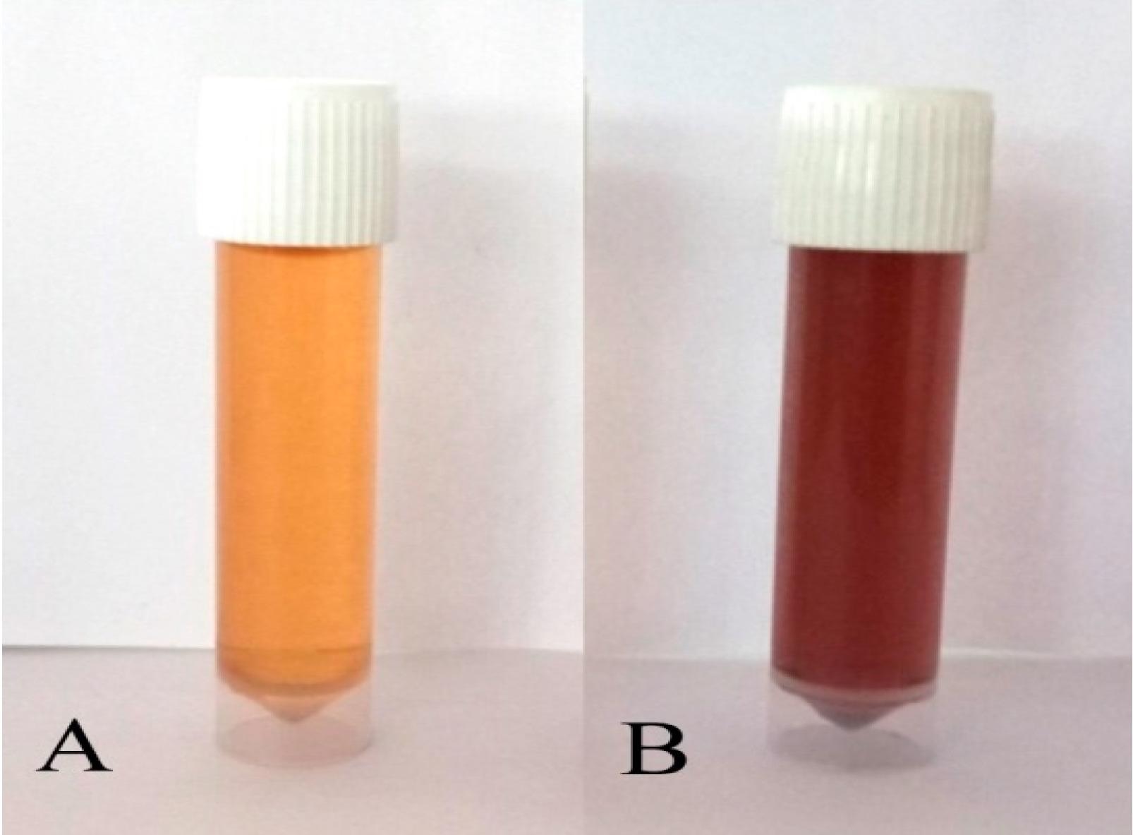 Biosynthesis of P-AgNPs from leaf extract of P. alba: mixture of aqueous Plumeria alba leaf extract and AgNO3 solution (A) before incubation and (B) after incubation.